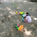 학 농장 이미지