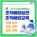 챗GPT체험 이미지