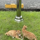 수제식품 이미지