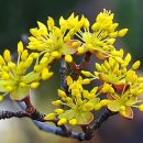 아름다운 안경원 이미지