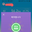 에이스점핑다이어트클럽