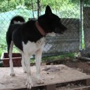 두환농장 이미지