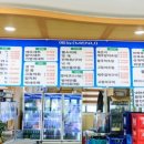 함덕 푸른밤 이미지