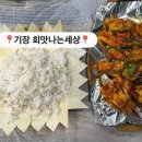 회맛나는세상