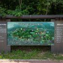 부평생태습지[부평-5] 이미지