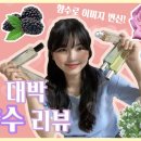 향수패션 이미지