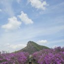 황매산 철쭉제 이미지