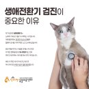 닥터김 동물의료센터 이미지