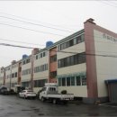 화신동백 이미지