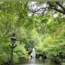 삼풍베이커리 이미지