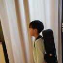 솔로몬악기