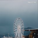 계룡산두꺼비