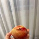 대창슈퍼마켓 | 스페인 여행기 4 [5월/메트로폴 파라솔-바 엘 코메르시오-산타 크루즈지구]