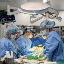 세계로동물의료센터 이미지