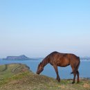 등대목장 이미지