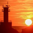 용상초교 이미지