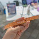 금강교옆 공원 이미지