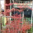 해오름주유소 이미지