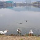 바르미스시(&)그릴뷔페 이미지