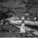 가일미술관 이미지