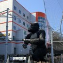 안심산길 | 여수 가볼만한곳 유월드 루지 테마파크 커플 여행 후기