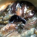 해삼농장 이미지