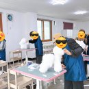 정애견미용학원 티스토리