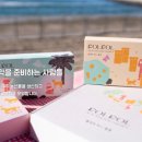 폴개네제주드림캠프 이미지