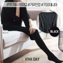 웨스트311