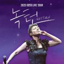 가수 이은미 콘서트 이미지