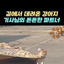 Engelbert Humperdinck - How I Love You 이미지