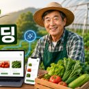 커머스바이브 | 소규모 농장에 바이브코딩이 필요한 이유: 개발자 없이 시작하는 농업 마케팅