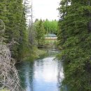 보우농장 이미지