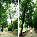 마티네 콘서트 「마실」 - 문학콘서트 소나기 | 20180402~0408 곰주부의 일상