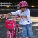 삼천리자전거 횡단보도 이미지