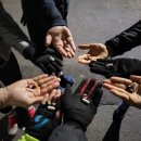 프레스온 이미지