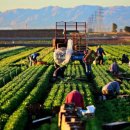 상이농장 이미지