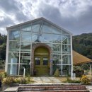 4월의밀밭 이미지