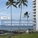 개미정비 | 하와이 빅아일랜드 힐로 호텔 추천｜힐튼 그랜드 나닐로아 숙박후기·공항 5분🌴