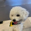 경북동물병원 이미지