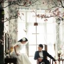 데이스튜디오 이미지