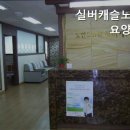 실버캐슬요양원