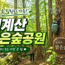 청계 맑은숲공원 | 의왕 청계산 맑은숲공원 주차 정보와 무장애 데크길 힐링 산책