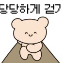 365언제나약국