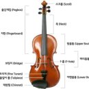바이올린1 이미지