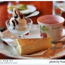 언덕위의 집 이미지