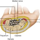 재이한의원 이미지