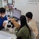 문 동물병원 이미지