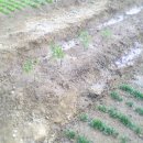 아랑농장 이미지