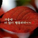 멋진 가을 금욜 이미지 이미지